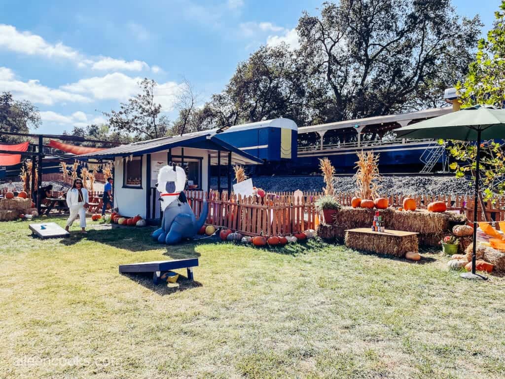 Pumpkin Patch Express