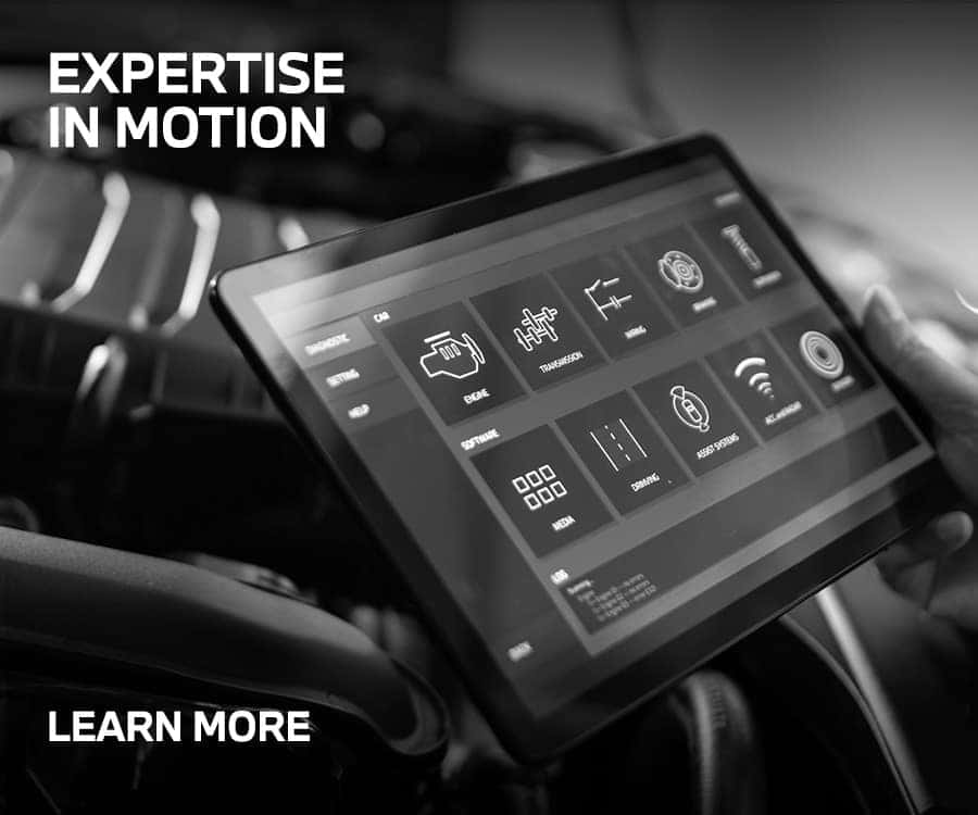 Expertise in motion