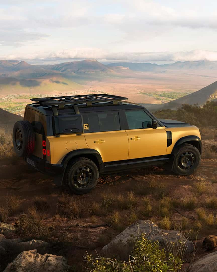 defender