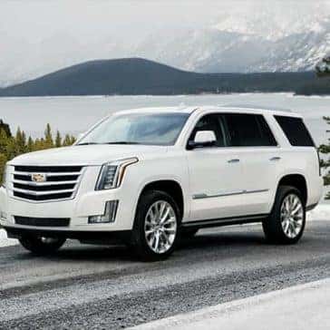 2019 Cadillac Escalade White