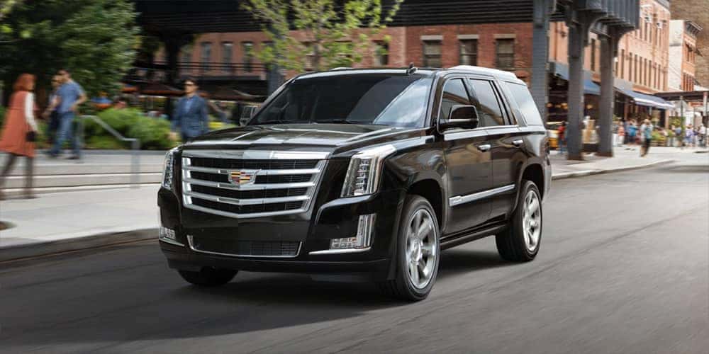 2019 Cadillac Escalade Driving