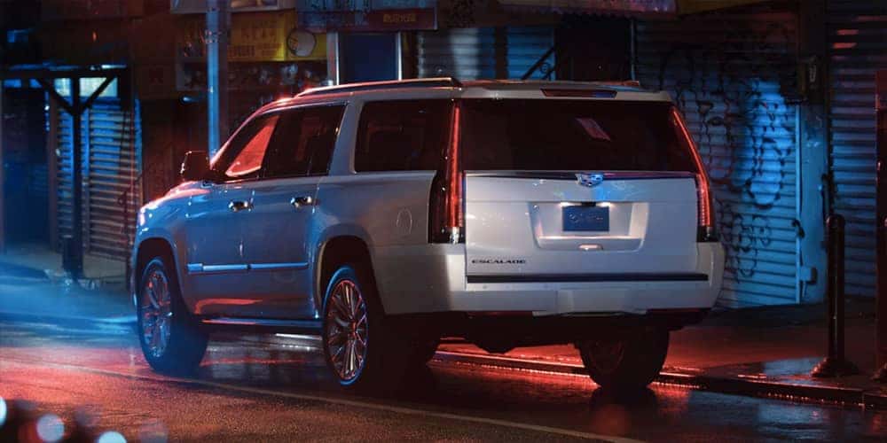 2019 Cadillac Escalade Rear