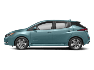 2018 Leaf