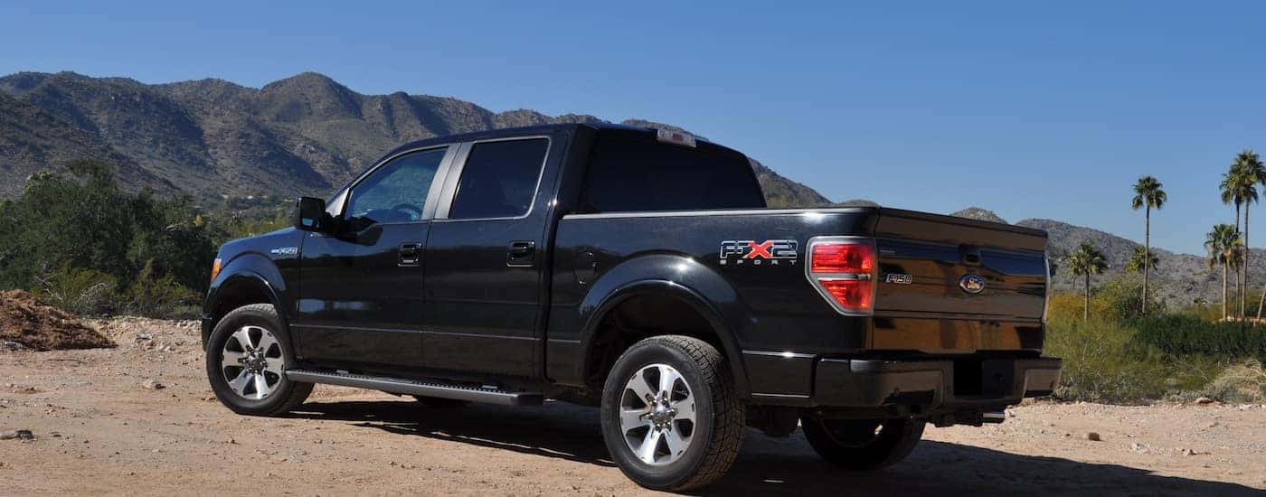 Black 2010 Used Ford F-150 in the mountains