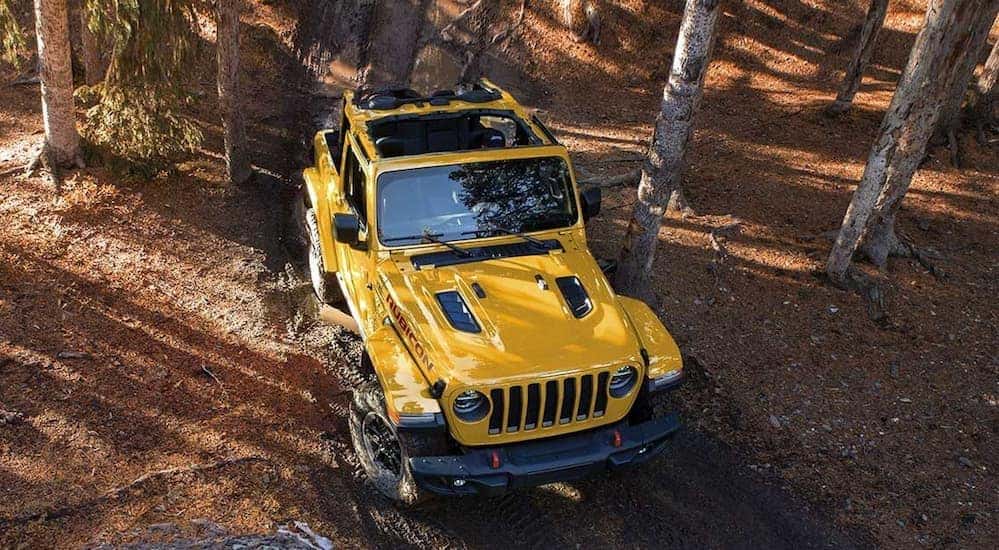 A birds eye view of a yellow 2-door 2019 Jeep Wrangler is driving through the woods near Indianapolis, IN.