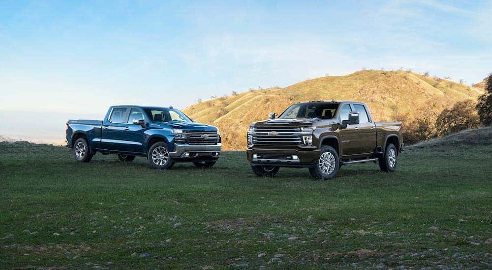 A blue 2019 Chevy Silverado 1500 and a brown 2020 Chevy Silverado 2500HD are parked on a grassy hill facing each other.