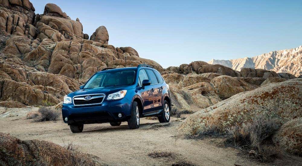 A blue 2014 Subaru Forester is shown from the front at an angle.