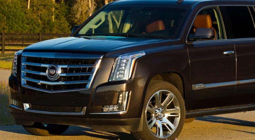 A grey 2015 Cadillac Escalade is shown parked in an empty lot.