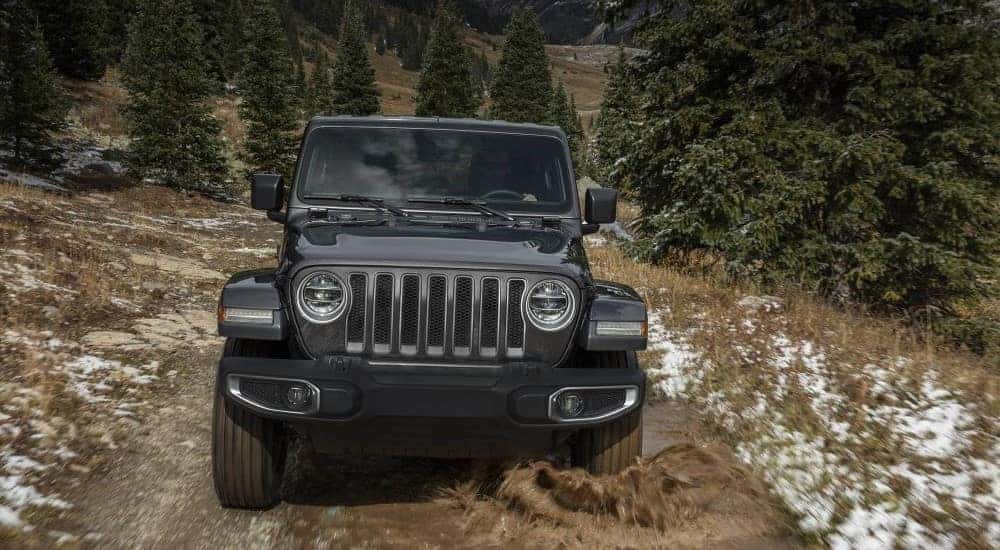 A black 2019 Jeep Wrangler is shown driving on a muddy path.