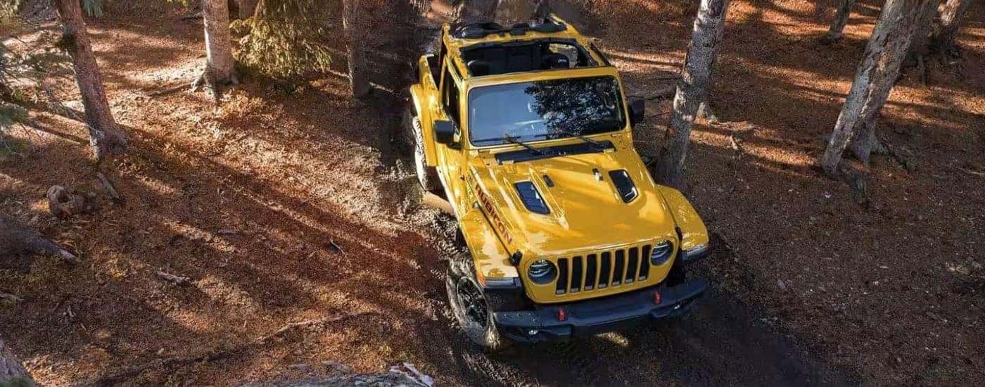 A yellow 2019 Jeep Wrangler Rubicon is shown from a high angle while parked in a forest.