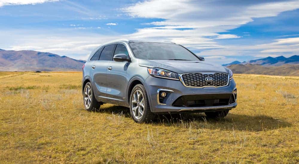 A blue 2020 Kia Sorento for sale parked on a field.