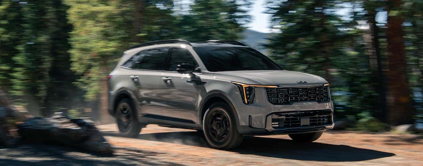 A grey 2024 Kia Sorento is shown.
