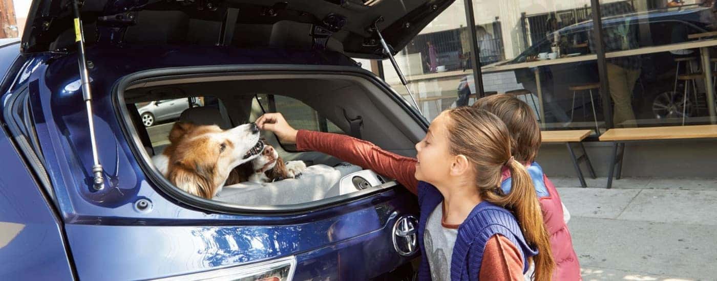 A child is feeding a dog in a blue 2016 Toyota Highlander.