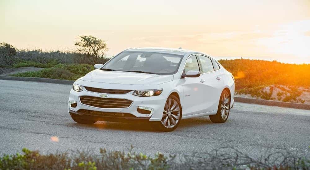 White 2018 Chevy Malibu from the front at an angle.