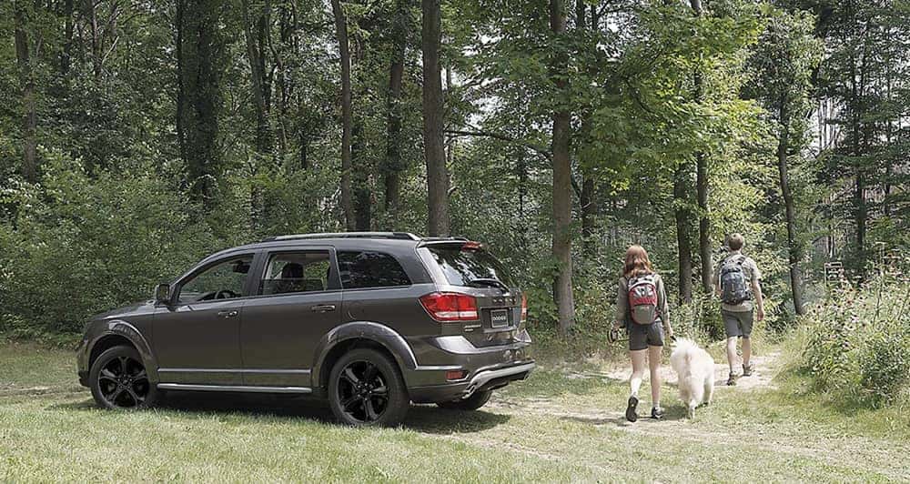 2018 Dodge Journey Forest