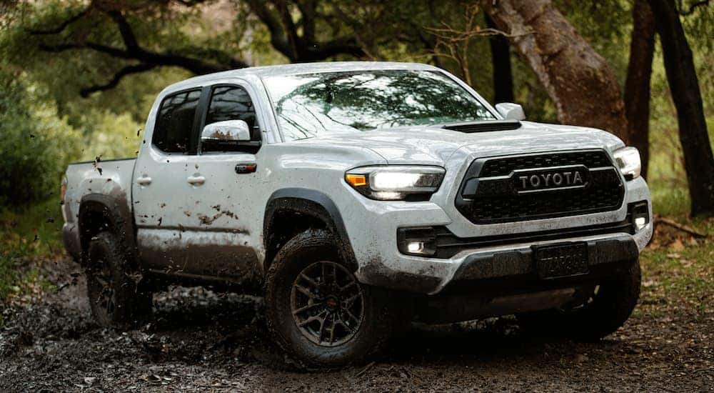 White 2021 Toyota Tacoma TRD Pro driving through a forest.