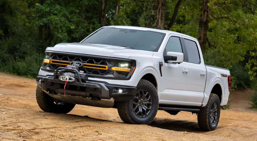 A white 2024 Ford F-150 from the front.
