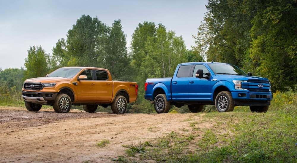 One orange and one blue 2019 Ford F-150 parked on dirt surrounded by grass and trees