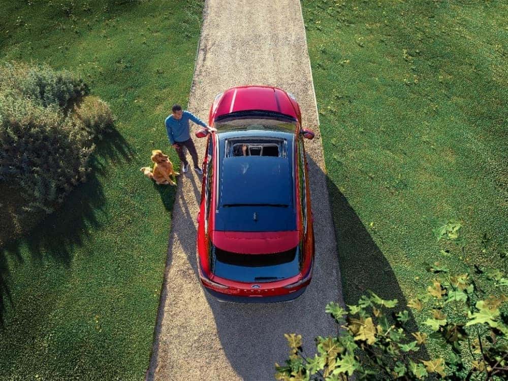 overhead shot of a red 2020 Ford Escape small SUV parked on a dirt driveway with a man and dog standing beside it