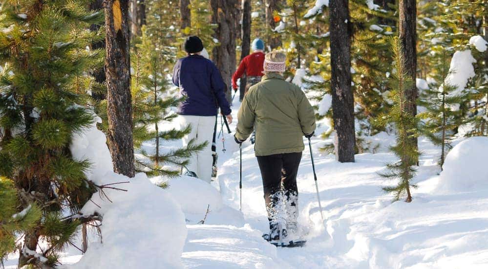 A family is walking through the woods in snow shoes.