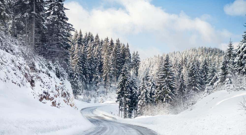 Curvy road with snowy and snow-covered trees on both sides near a Ford dealership in Albany New York.