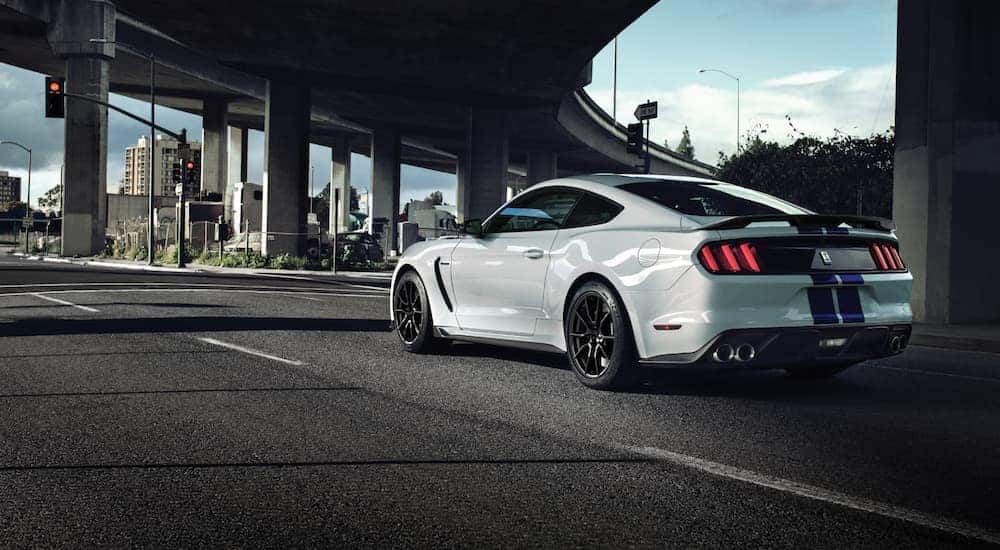A white 2020 Ford Mustang GT350, a popular performance car at Ford dealership locations in Albany, NY, is stopped at a red light.