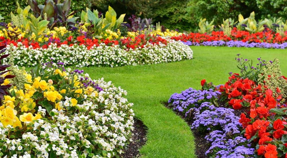 Clean landscape with white, yellow, red, and purple flowers surrounding sharp, green grass