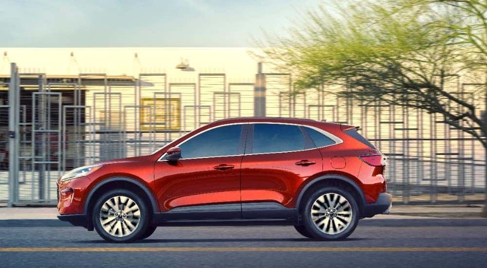 Red 2020 Ford Escape SUV driving down a city street.