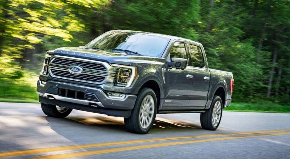 A gray 2021 Ford F-150 Limited is driving on a tree-lined road after leaving a NY Ford dealer.