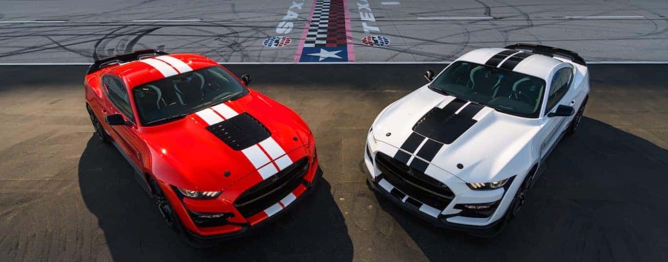 A red and a white 2021 Ford Mustang Shelby GT500 are shown angled toward each other parked at a racetrack.