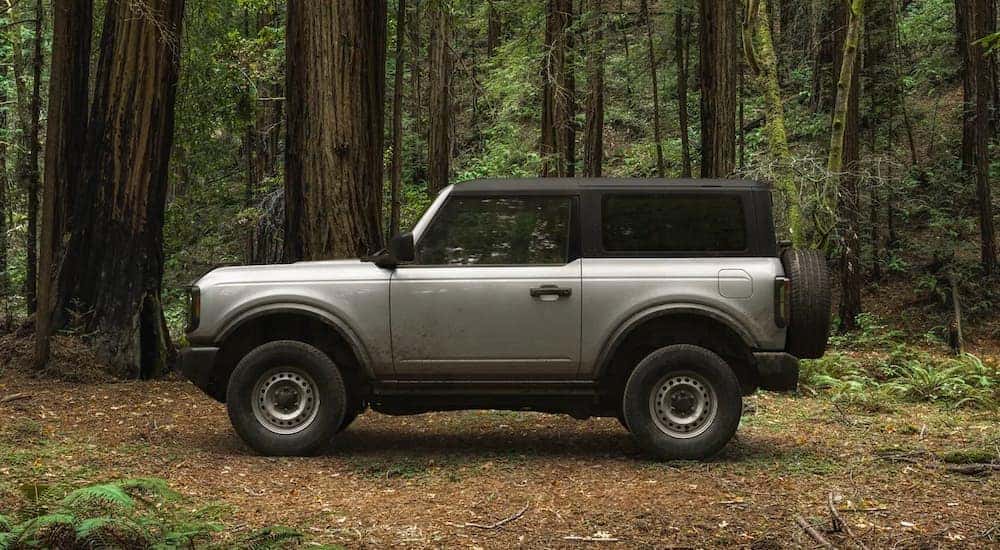 A silver 2021 Ford Bronco is in the woods after leaving a NY Ford Bronco dealership.