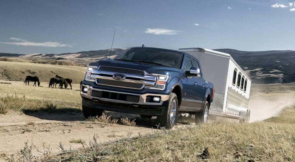 A blue 2019 Ford F-150 is shown from the front towing a closed trailer on a dirt road after leaving a used F-150 dealer.