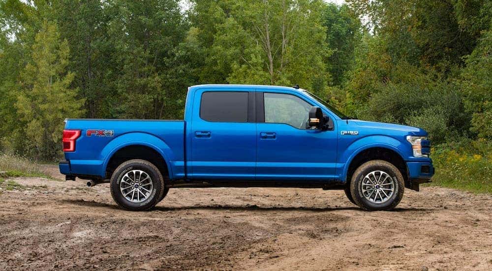 A blue 2019 Ford F-150 is shown from the side parked in a dirt field surrounded by forest.