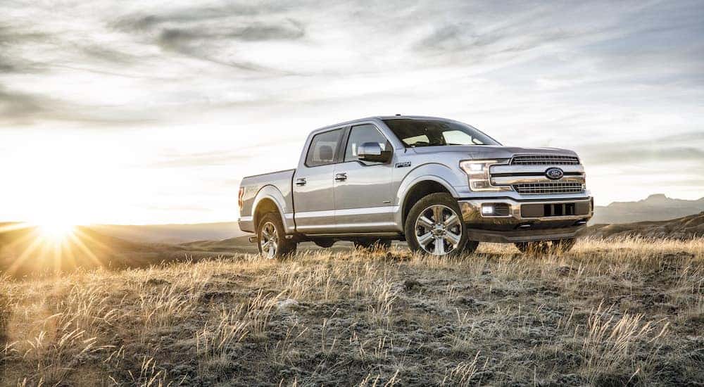 A silver 2018 Ford F-150 is shown parked in a field after visiting a certified pre-owned Ford F-150 dealer.
