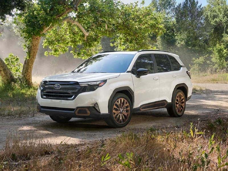Used Subaru Forester Review