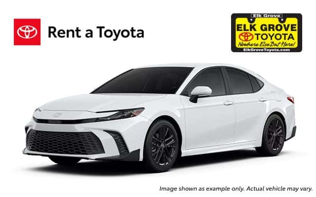 Camry Rental