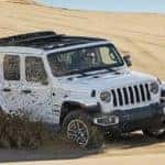 Wrangler In Desert