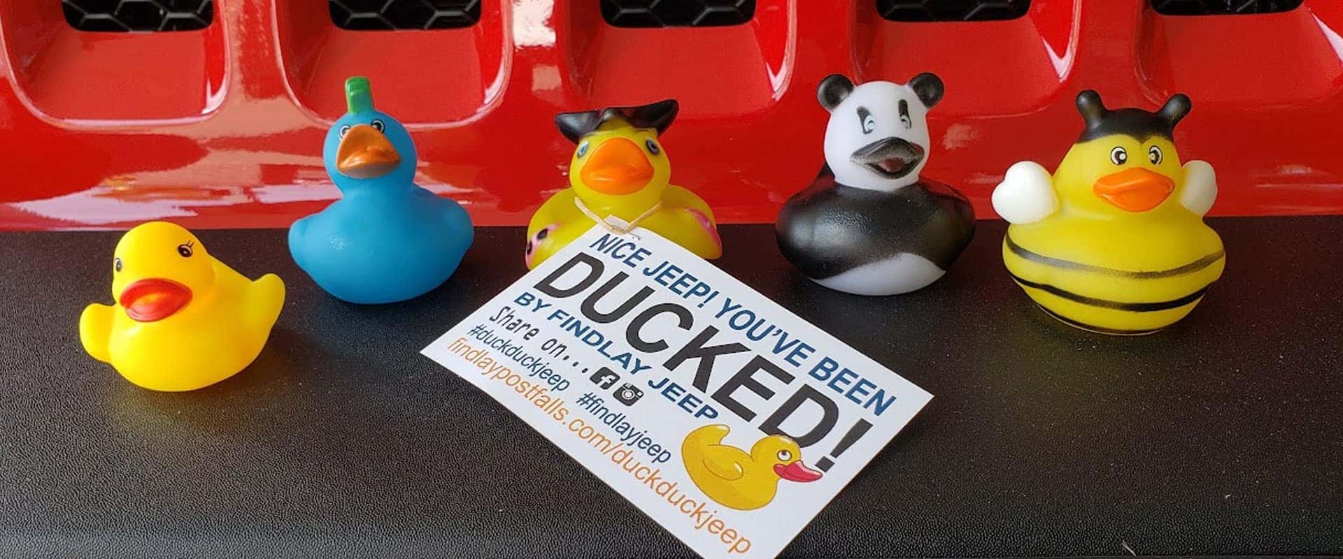 Black Rubber Duck – VIP Auto Accessories