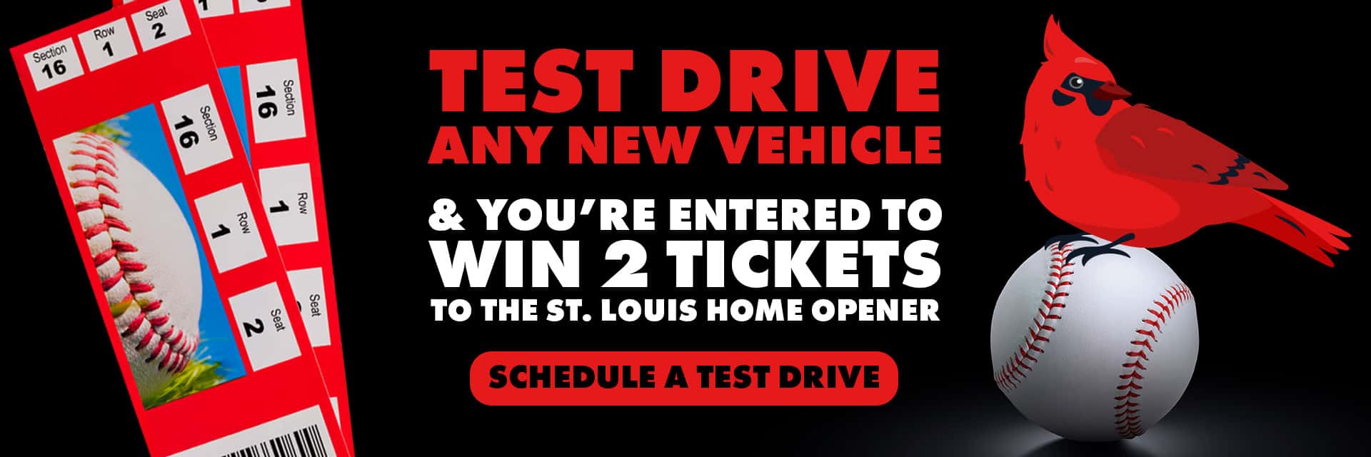 2-25-FL-Cardinals-TestDrive-Web