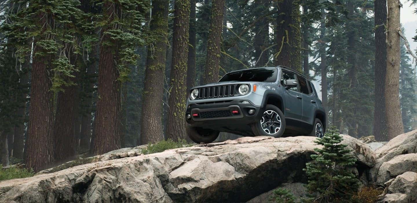 Jeep Renegade Terrain Capability Garavel CJDR