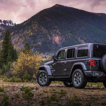2019 Jeep Wrangler Rear
