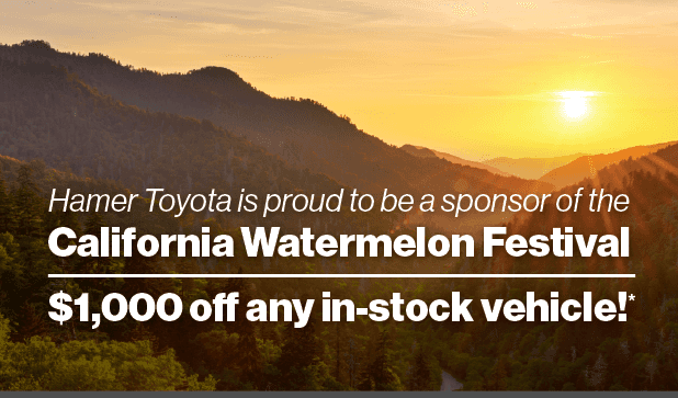 Watermelon Fest