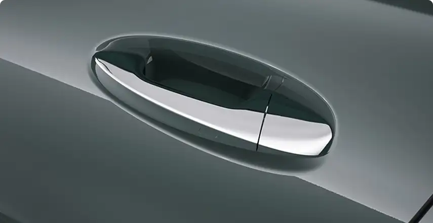 Chrome door handle insert on a dark green Mercedes-Benz