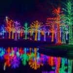 Christmas-Lights-San-Diego