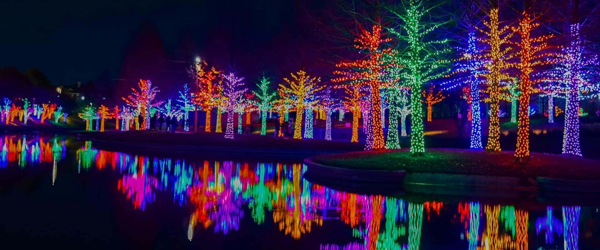 Christmas-Lights-San-Diego