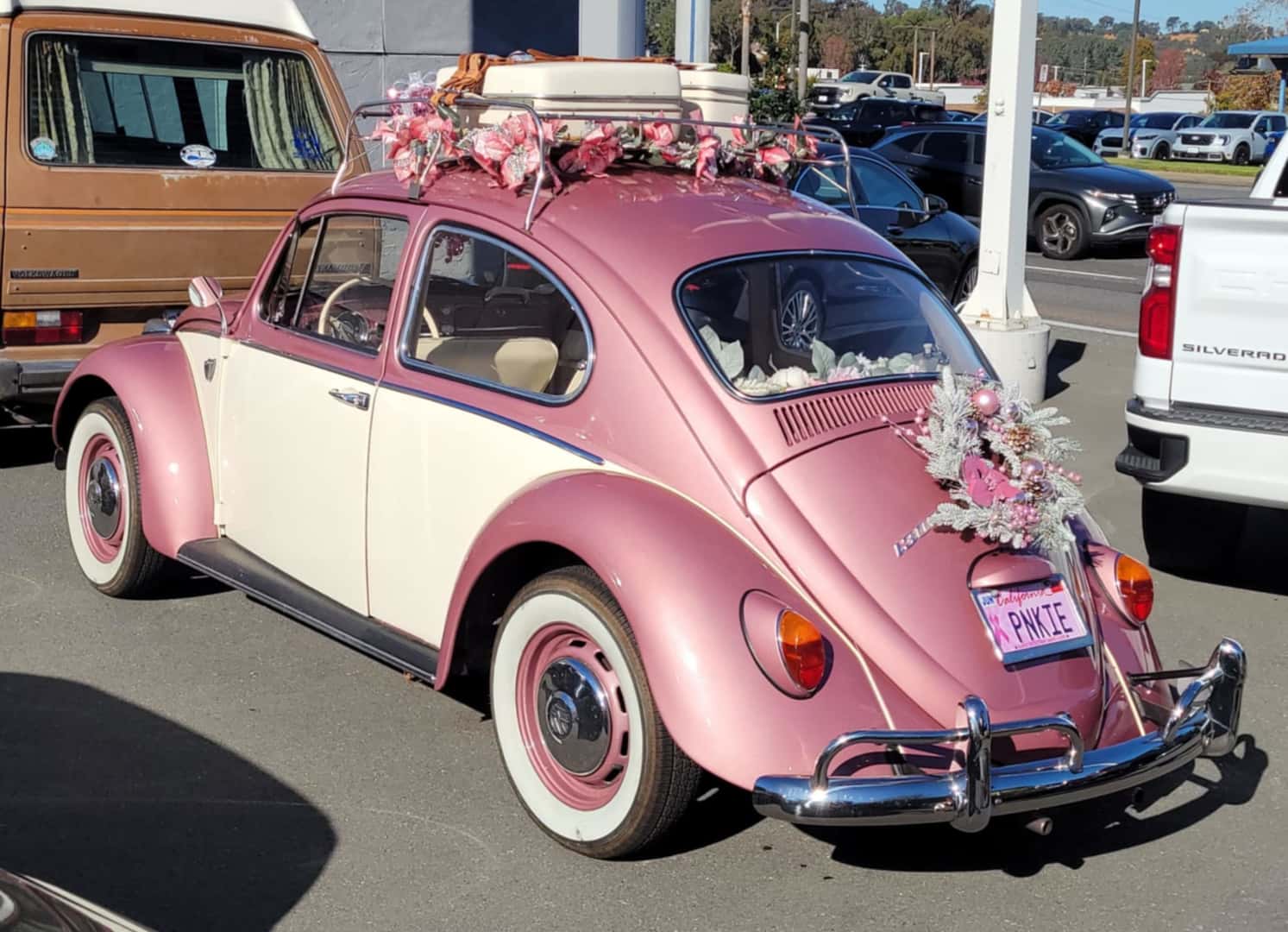 San Diego Vintage VW Christmas Cruise