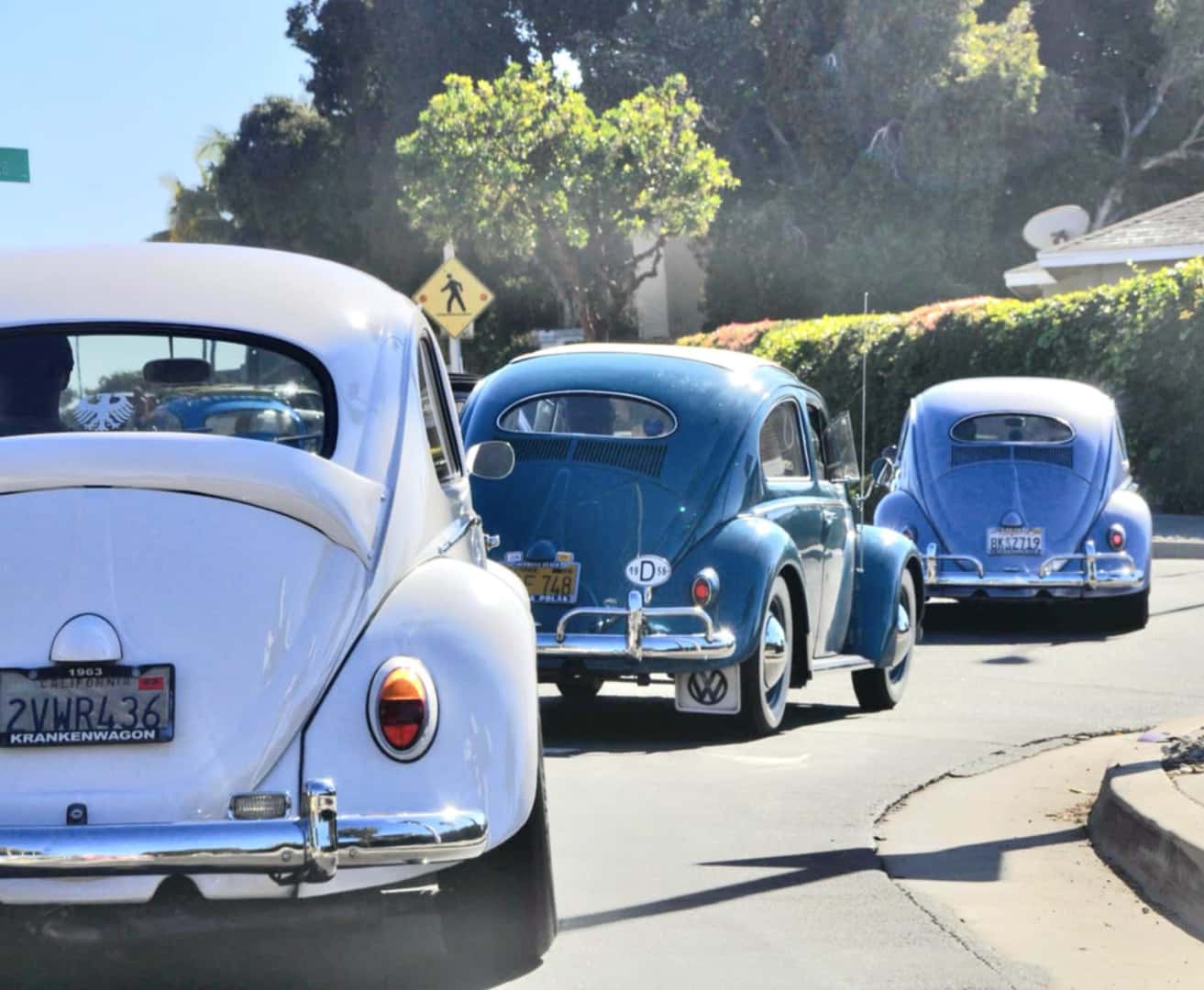 San Diego Vintage VW Christmas Cruise