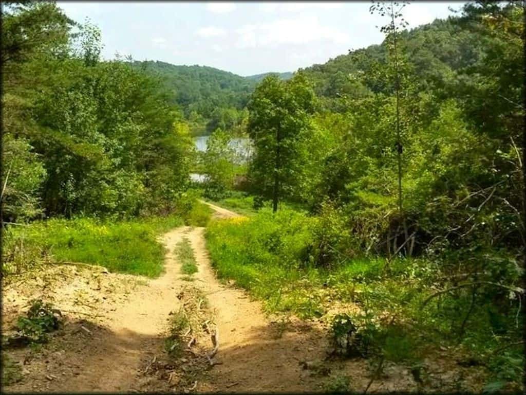 Four 4WD Off-Road Locations: North Carolina