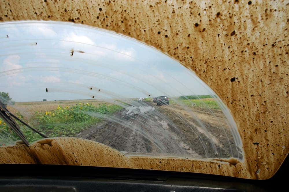 How to Wash Your Jeep Like a Pro