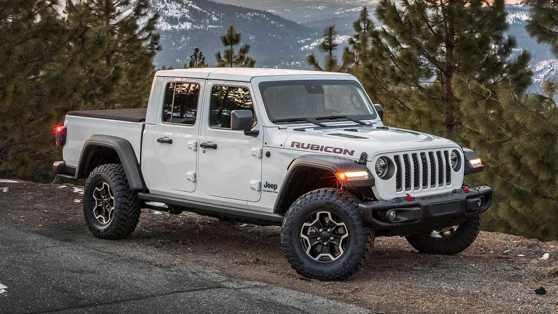 2020 rubicon truck